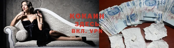 спиды Абинск