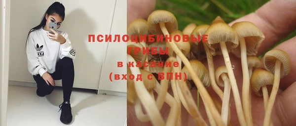 спиды Абинск