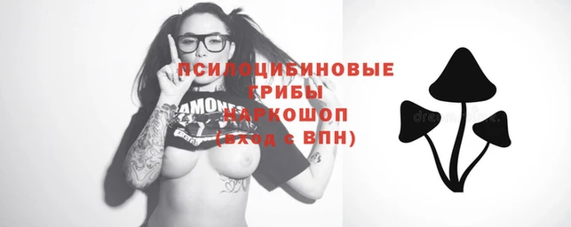 соль курить ск Абаза