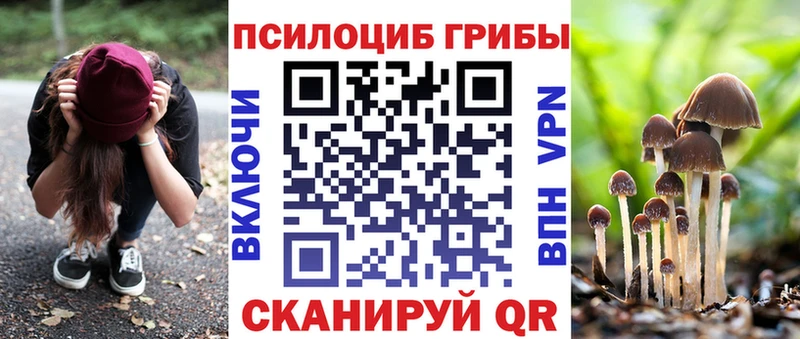 Псилоцибиновые грибы мицелий  сколько стоит  Кострома 